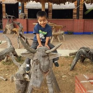 Meet your Posher, Brindo